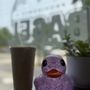 Providence Bagel