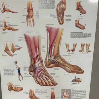 Hanger Prosthetics & Orthotics - ...the more you know - Orthopedists Near Me - Rancho Mirage, California Hanger Prosthetics & Orthotics - ...the more you know - Orthopedists Near Me - Rancho Mirage, California