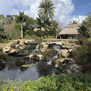 Naples Botanical Garden - Is this place Paradise , or what ! - Botanical Gardens Near Me - Naples, Florida