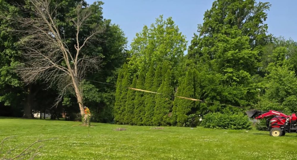 American Pride Tractor Services & Power Washing - veterans service organization in Arenzville, IL