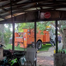 Mid-Ohio Valley Tree Service - They worked efficiently in our small back yard.