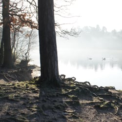 Sutton Park Bracebridge Pool - Sutton Park Bracebridge Pool