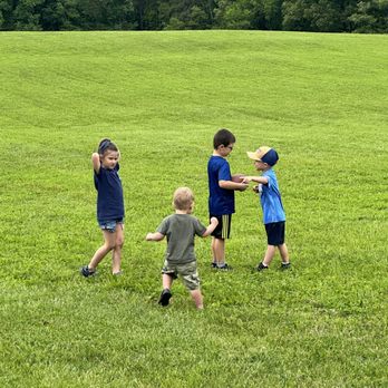 Tiger Mountain Vineyards - Kids playing in the huge field! - Wine Tours Near Me - Tiger, Georgia Tiger Mountain Vineyards - Kids playing in the huge field! - Wine Tours Near Me - Tiger, Georgia