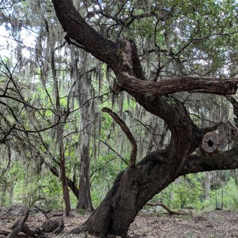 Guadalupe River State Park - Parks Near Me - Spring Branch, Texas Guadalupe River State Park - Parks Near Me - Spring Branch, Texas