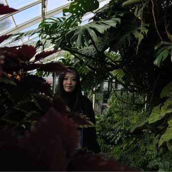 Volunteer Park Conservatory - Parks Near Me - Seattle, Washington Volunteer Park Conservatory - Parks Near Me - Seattle, Washington