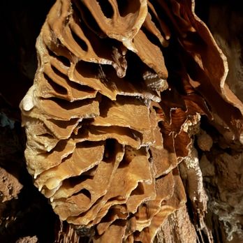 Grand Caverns - Historical Tours Near Me - Grottoes, Virginia Grand Caverns - Historical Tours Near Me - Grottoes, Virginia