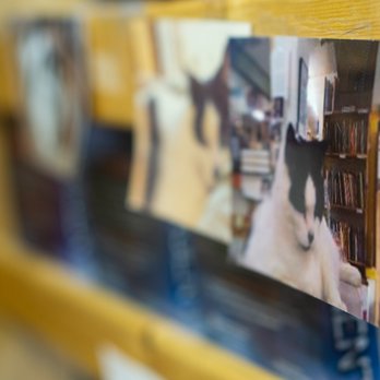 Twice Sold Tales - Used Bookstore Near Me - Seattle, Washington