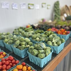 Genecco Produce