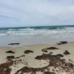 The beach