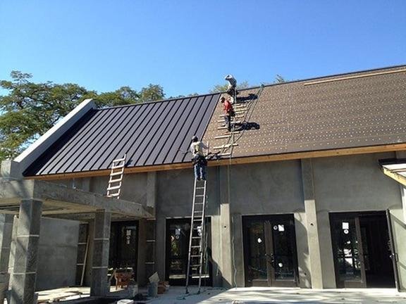 Slide of Andrew Palmer