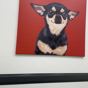 UrgentVet - Crestview - Wall - Veterinarians Near Me - Austin, Texas UrgentVet - Crestview - Wall - Veterinarians Near Me - Austin, Texas