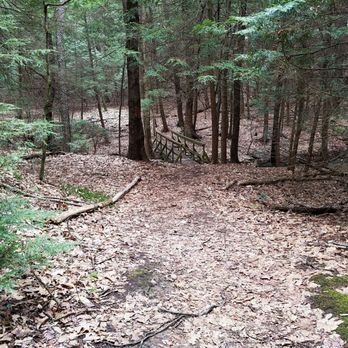 Todd Nature Reserve - Hiking Near Me - Sarver, Pennsylvania Todd Nature Reserve - Hiking Near Me - Sarver, Pennsylvania