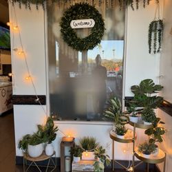 Sushi Factory - Walk-in / Welcome Area
