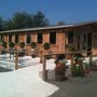 Photo of Meadowvale Nursery