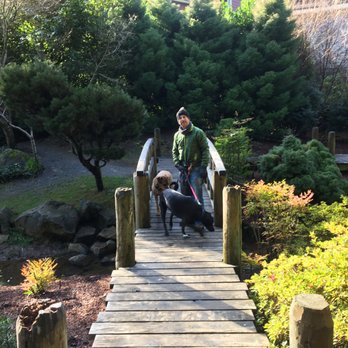 Mingus Park - Japanese Garden footbridge 2 - Parks Near Me - Coos Bay, Oregon