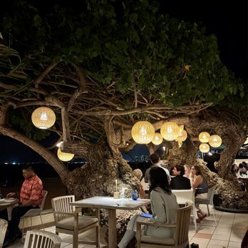 Hau Tree - View from table - Seafood Near Me - Honolulu, Hawaii