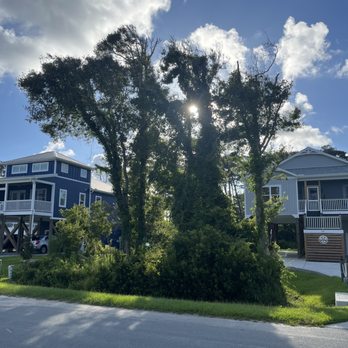 Deans Top Notch Tree Service - Tree Services Near Me Deans Top Notch Tree Service - Tree Services Near Me