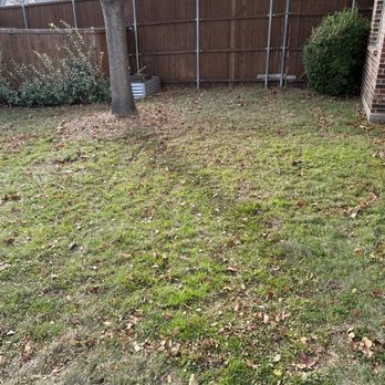 Executive Lawn Care - Lawn Services Near Me - Frisco, Texas Executive Lawn Care - Lawn Services Near Me - Frisco, Texas