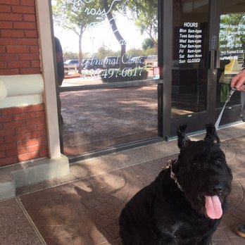 Cross Winds Animal Clinic - Veterinarians Near Me - Gilbert, Arizona Cross Winds Animal Clinic - Veterinarians Near Me - Gilbert, Arizona