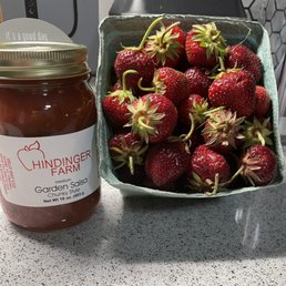 Hindinger Farm's Garden Salsa and Fresh Strawberries. - A jar of Hindinger Farm garden salsa labeled 'Chunky Style' and a container filled with fresh, ripe strawberries are positioned on a speckled gray countertop. The salsa jar has a metal lid and a white label with red text, while the strawberries are in a greenish container with green stems attached. The background includes a partial view of a kitchen setting with a decorative sign and hexagonal tile pattern.