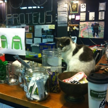 Proteus Bicycles - Store pet is so sweet and friendly! - Bikes Near Me - College Park, Maryland Proteus Bicycles - Store pet is so sweet and friendly! - Bikes Near Me - College Park, Maryland