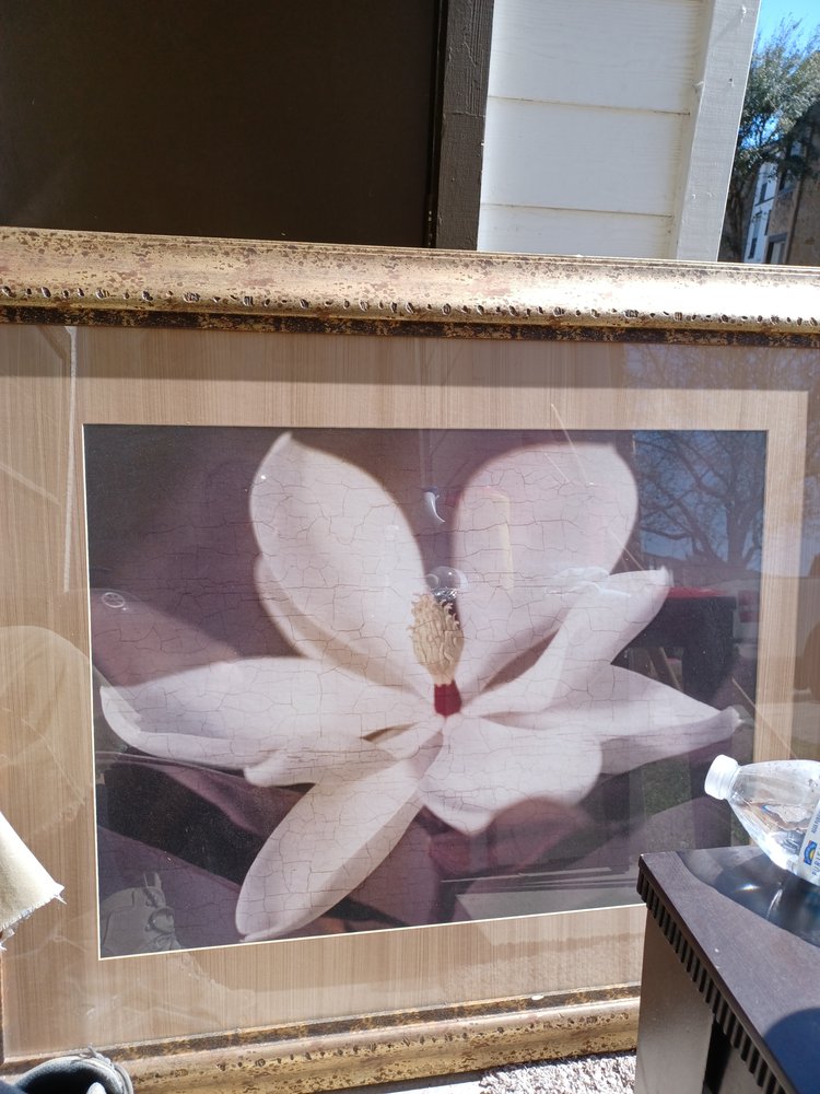 LANDMARK ART & FRAME 2100 Principal Row, Orlando, Florida Phone