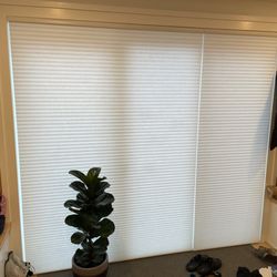Window Wears - Hunter Douglas PowerView cordless electric shades