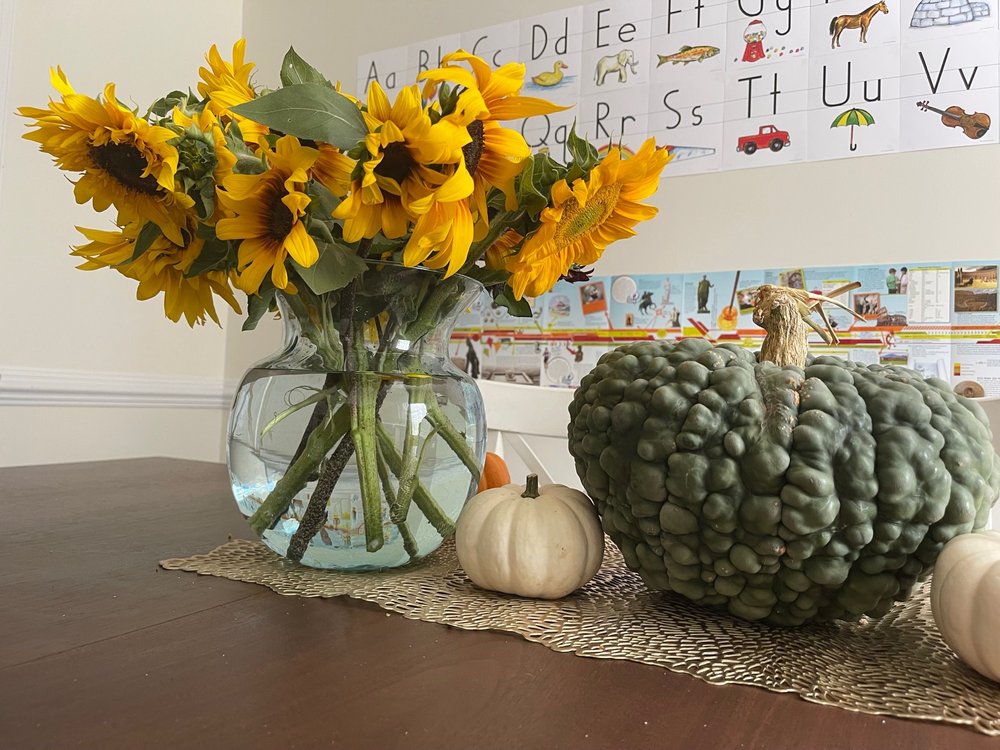 CULLIPHER FARM MARKET 161 Photos & 27 Reviews 772 Princess Anne Rd, Virginia Beach, VA Yelp