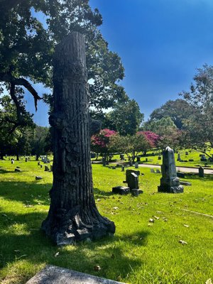 Elmwood Cemetery by null