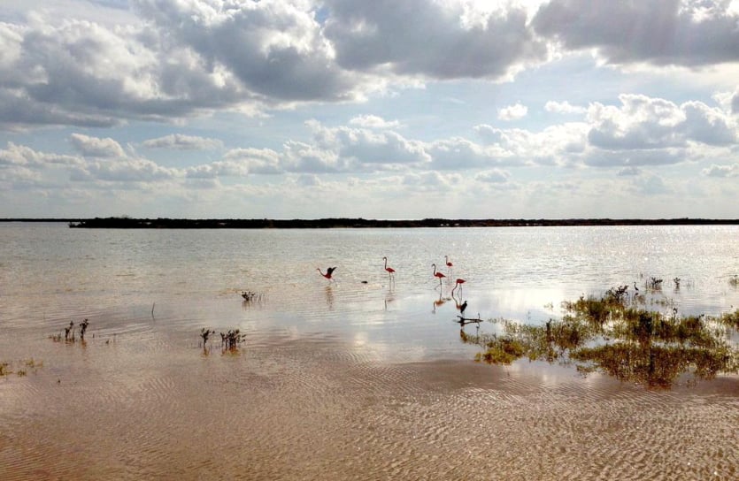 Mirador Ecoturístico Uaymitún