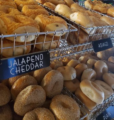 K&L Bagels by null