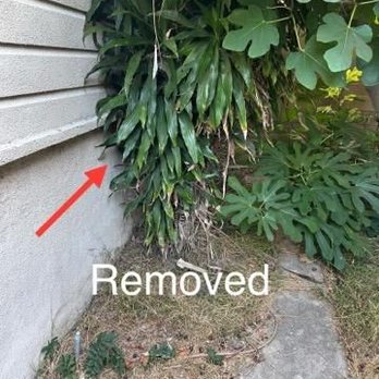 Poly Timber Tree Service - Tree Services Near Me - Pico Rivera, California Poly Timber Tree Service - Tree Services Near Me - Pico Rivera, California