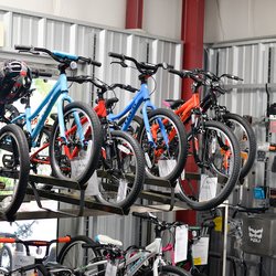David's World Cycle