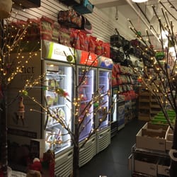 Pet Central - Interior