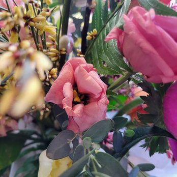 Fern and Bloom - Florists Near Me - Denver, Colorado Fern and Bloom - Florists Near Me - Denver, Colorado