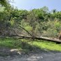Photo of Frank Curto Park