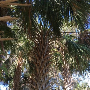 Gemini Springs Park - Parks Near Me - Debary, Florida