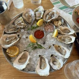 Oysters