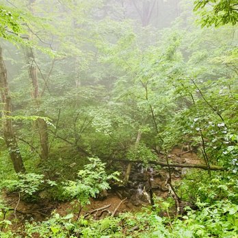 Dark Hollow Falls Trail - Trail - Hiking Near Me - syria, Virginia Dark Hollow Falls Trail - Trail - Hiking Near Me - syria, Virginia