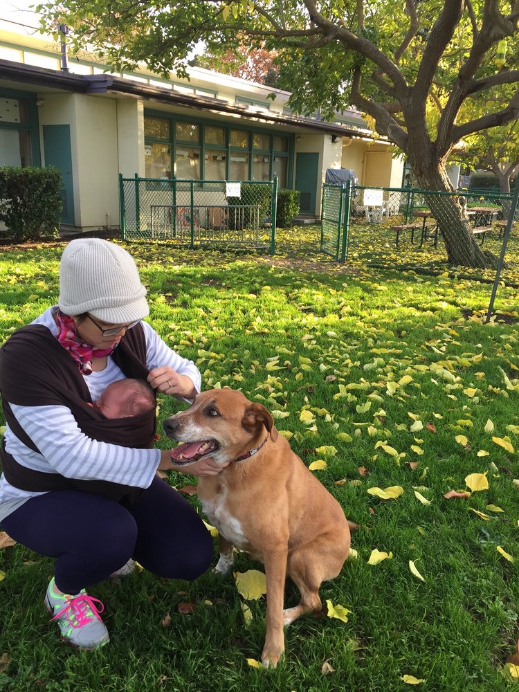 DUVENECK ELEMENTARY SCHOOL 705 Alester Ave, Palo Alto, California
