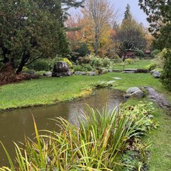 Thuya Garden and Lodge