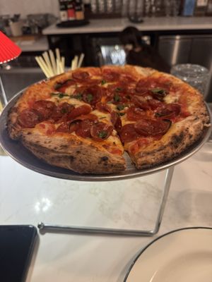 The Little Lark by null