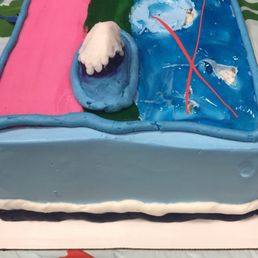 fingerprint "mountain", the fingerprint in the actual cake to the right, breaks in the rim, & the sides of the cake look NOTHING like pic. fingerprint "mountain", the fingerprint in the actual cake to the right, breaks in the rim, & the sides of the cake look NOTHING like pic.
