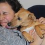 Photo of RSPCA