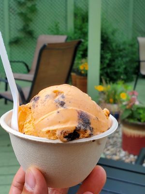 Alleyway Ice Cream by null