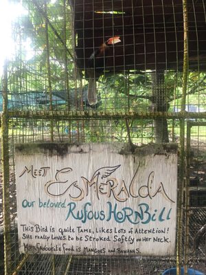 The Blue Orchid Resort by null