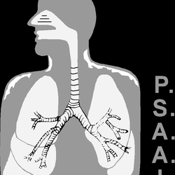 Puget Sound Allergy Asthma & Immunology - untitled