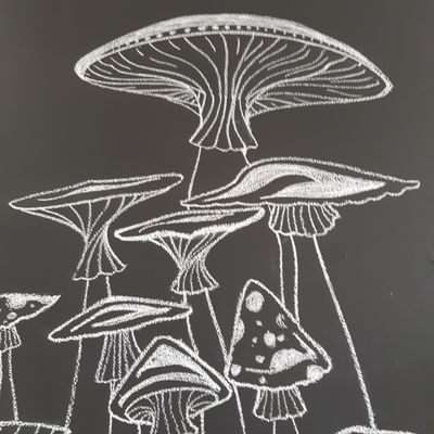 The Fringe Salon by null