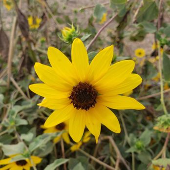 Peters Canyon Hike - Hiking Near Me - Tustin, California