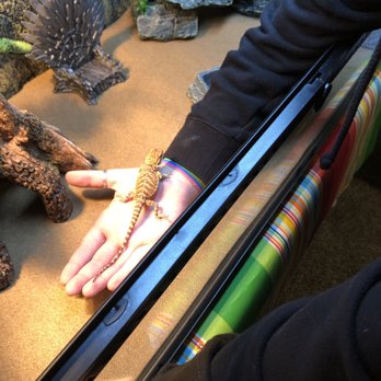 PetSmart - Pet Stores Near Me - Santa Cruz, California PetSmart - Pet Stores Near Me - Santa Cruz, California